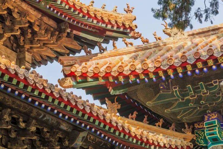 �Ļ��й���Ӫ��֮��حһ����������δ���ǧ�����