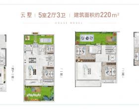 ��������ɽ��