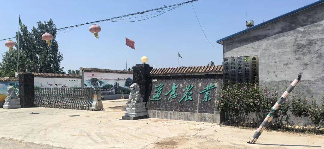 文章配图-2